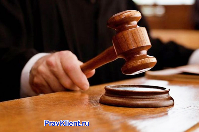 Судья держит в руке деревянный молоточек