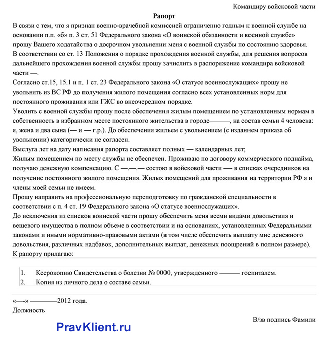 Примерный образец рапорта